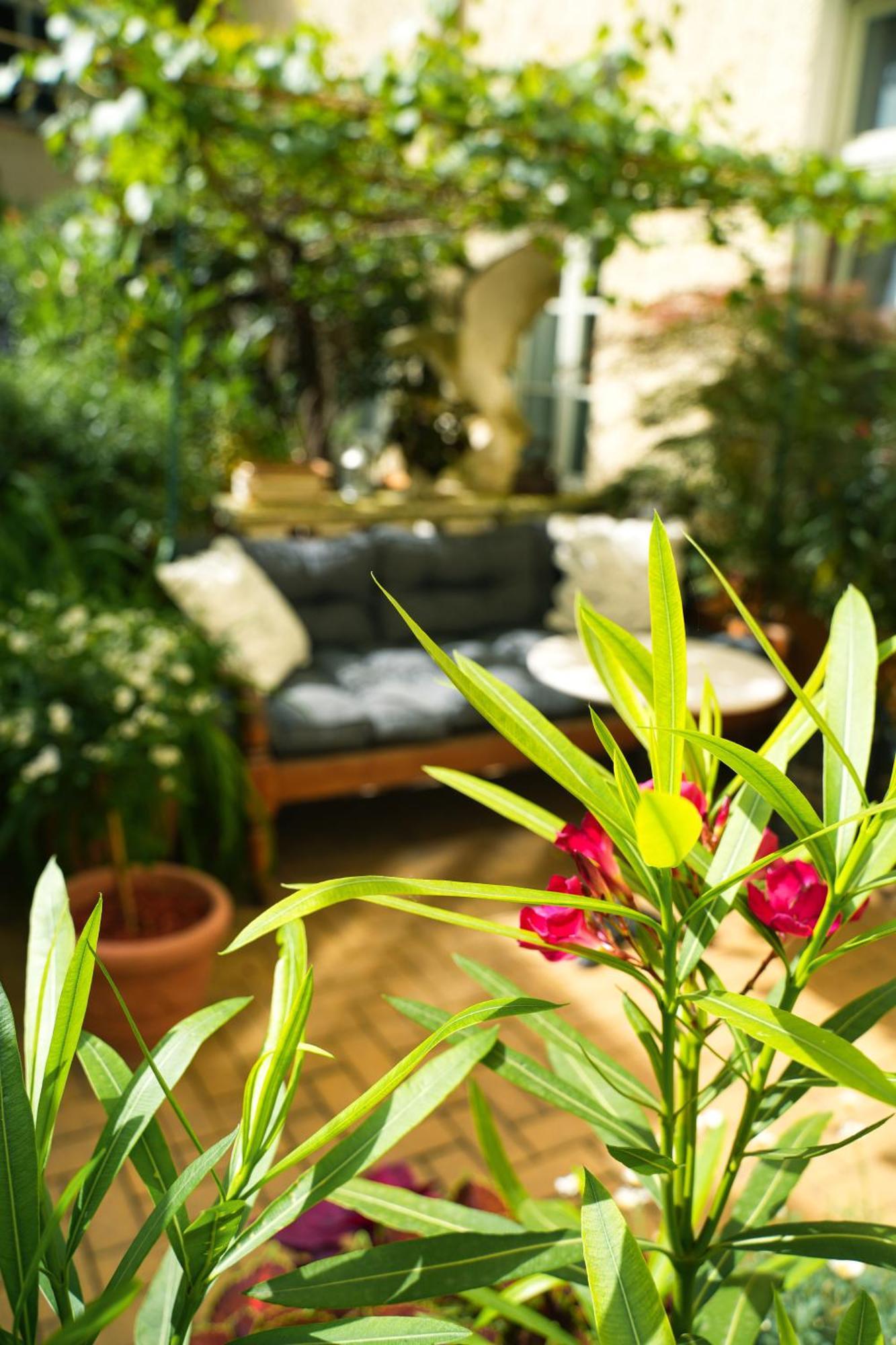 Honigmond Boutique Hotel Berlin Exterior foto